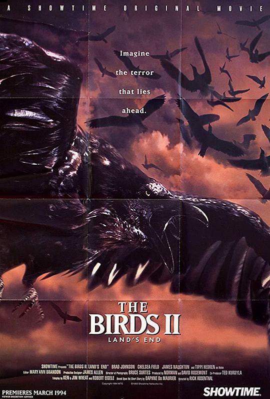 群鸟2：绝地猎杀 The Birds II: Land's End (1994)