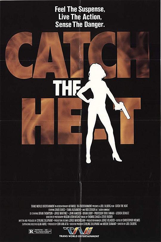 怒火焚城 Catch the Heat (1987)