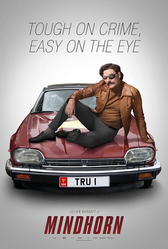 蛮好侦探 Mindhorn (2016)