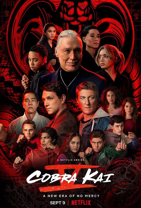 眼镜蛇 第五季 Cobra Kai Season 5 (2022)