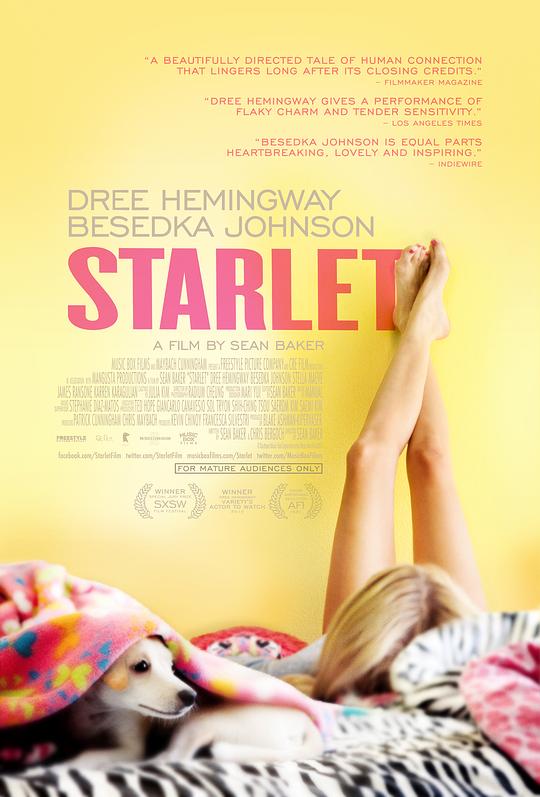 待绽蔷薇 Starlet (2012)