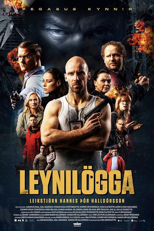 特警秘恋 Leynilögga (2021)