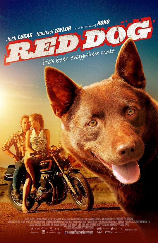 红犬历险记 Red Dog (2011)