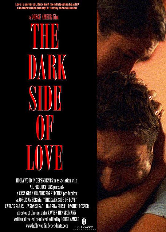 爱的阴暗面 The Dark Side of Love (2012)