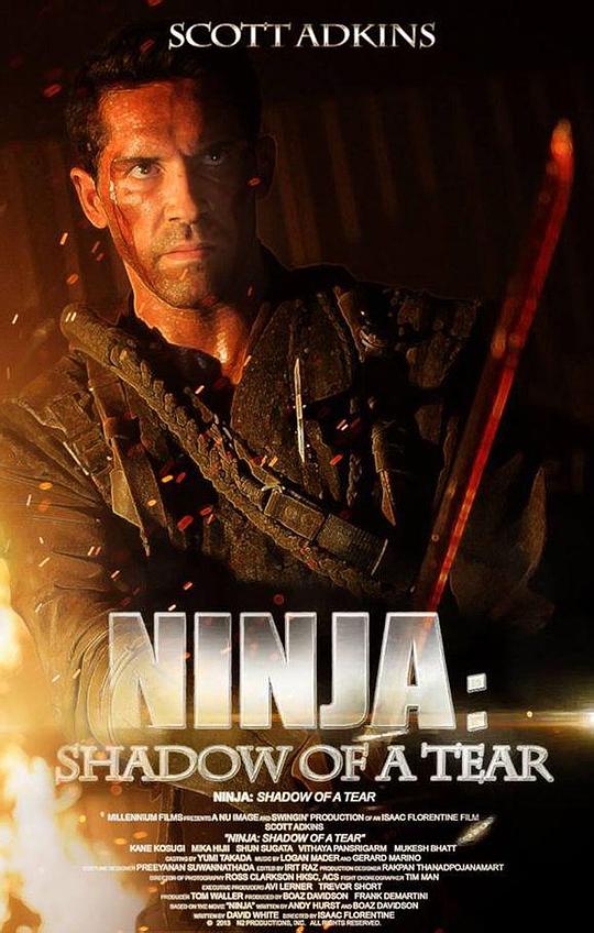 忍者2：撕裂的暗影 Ninja: Shadow of a Tear (2013)