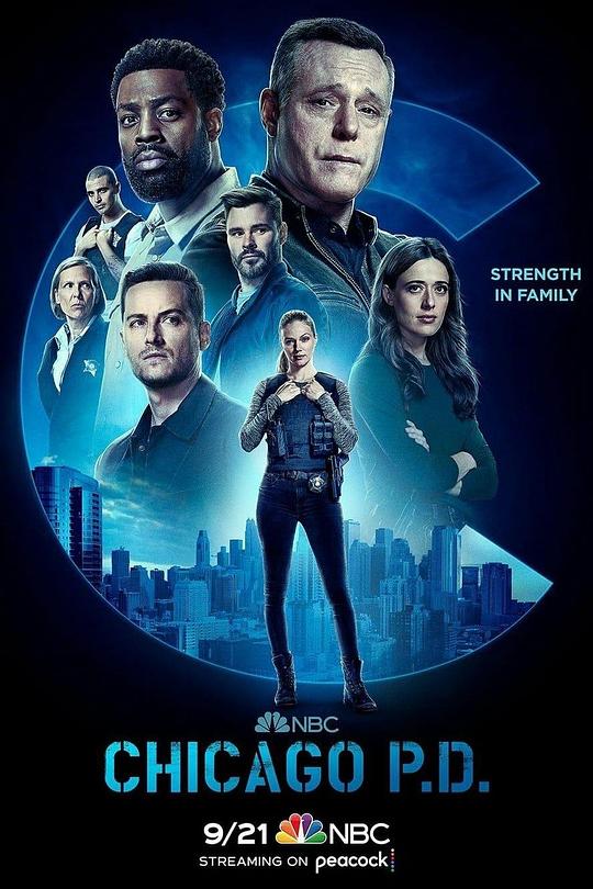 芝加哥警署 第十季 Chicago P.D. Season 10 (2022)