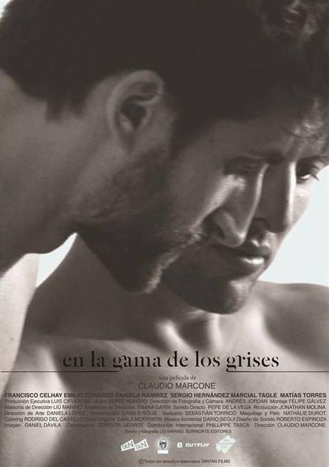 灰度灰 En la gama de los grises (2015)