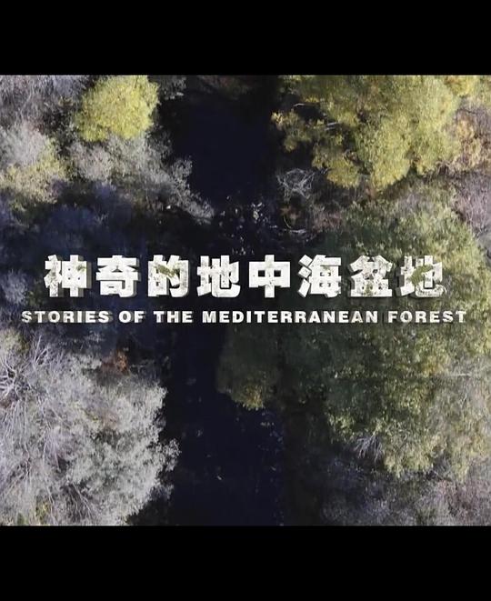 神奇的地中海盆地 Stories of the Mediterranean Forest (2017)