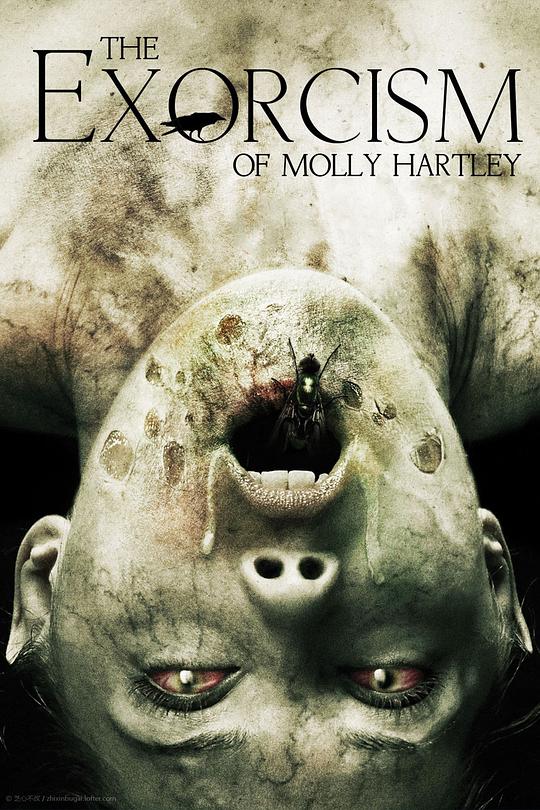 莫丽·哈特莉的驱魔 The Exorcism of Molly Hartley (2015)