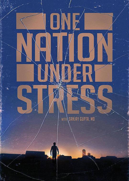 “压力山大”的美国人 One Nation Under Stress (2019)