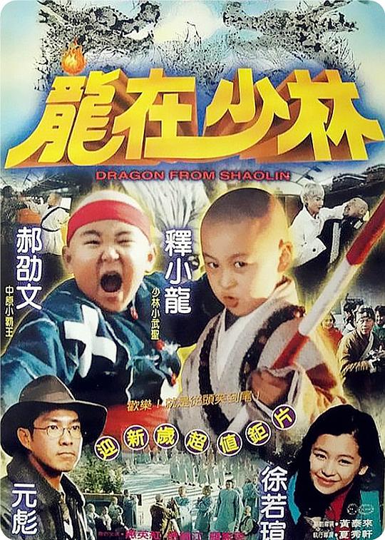 龙在少林 龍在少林 (1996)