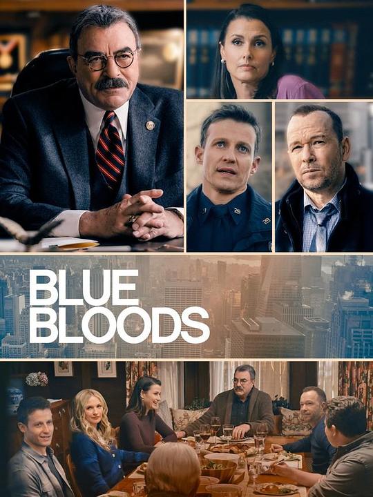 警察世家 第十三季 Blue Bloods Season 13 (2022)