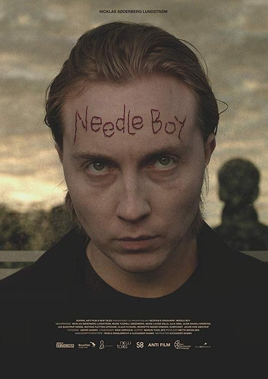 刺头男孩 Needle Boy (2016)