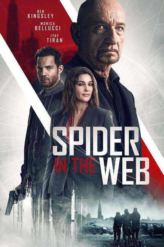 网中蜘蛛 Spider In The Web (2019)