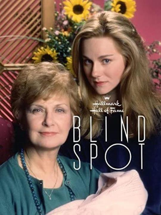 盲点 Blind Spot (1993)