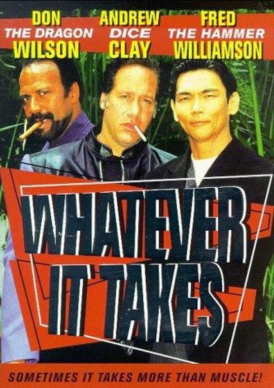 正义的代价 Whatever It Takes (1998)