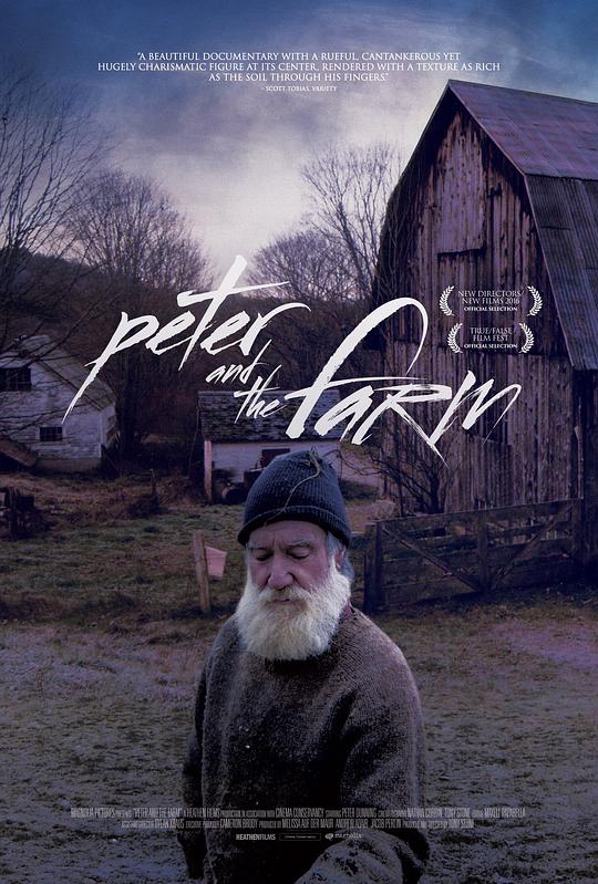 彼得和农场 Peter and the Farm (2016)