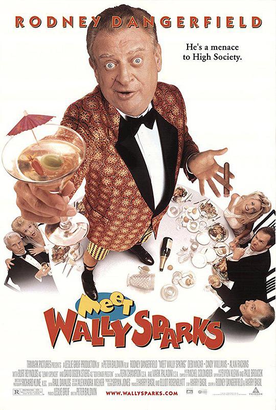 收视向前冲 Meet Wally Sparks (1997)