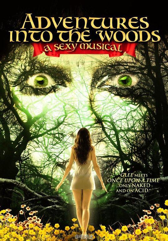 森林探险：性感音乐剧 Adventures Into the Woods: A Sexy Musical (2012)