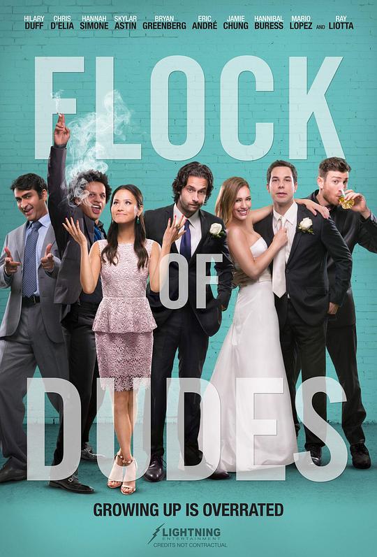 死党们 Flock of Dudes (2016)