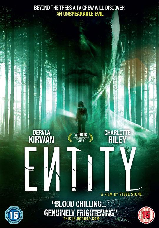 实体 Entity (2012)