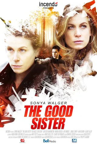 the good sister (TV)  (2014)