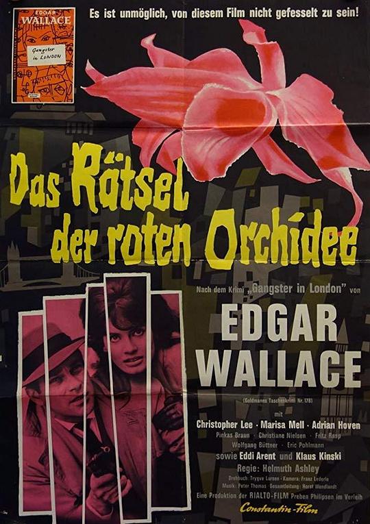 红兰花之谜 Das Rätsel der roten Orchidee (1962)