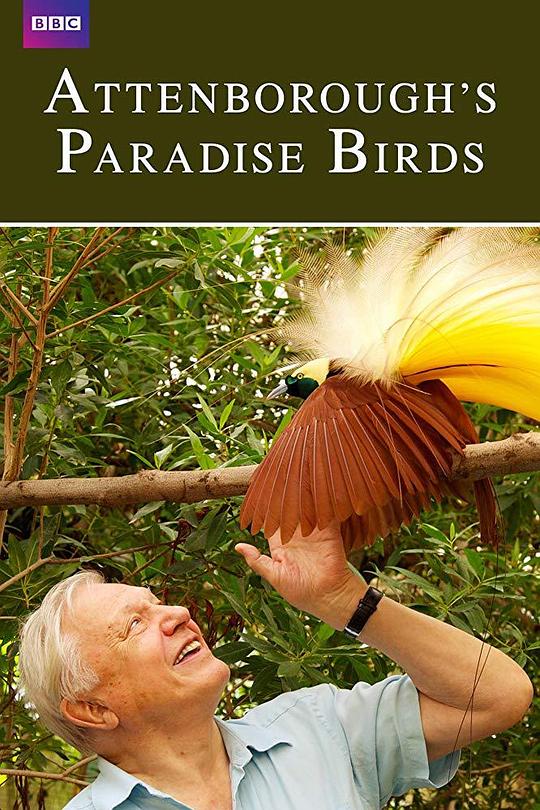 爱登堡的极乐鸟世界 Attenborough's Paradise Birds (2015)