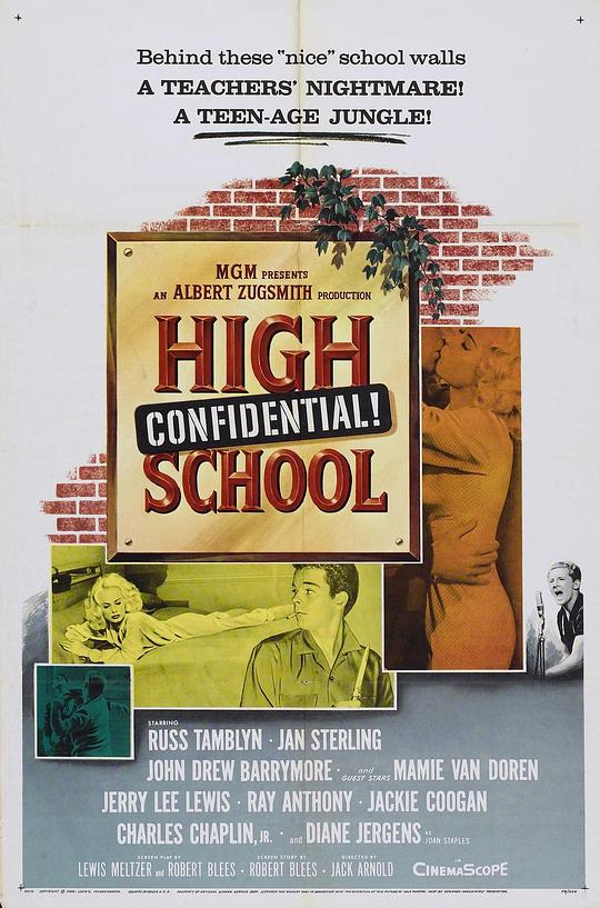 中学机密 High School Confidential! (1958)