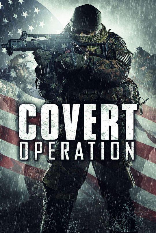 秘密行动 Covert Operation (2014)