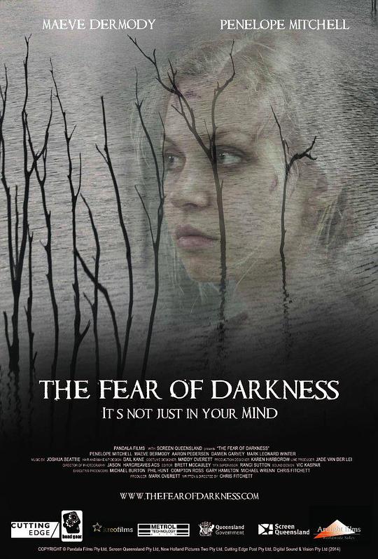 暗夜恐惧 The Fear of Darkness (2014)