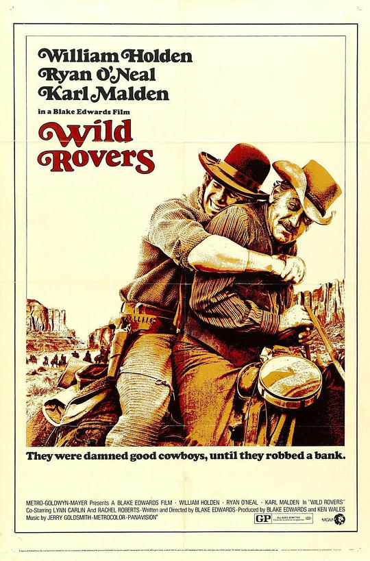 戎马闯天关 Wild Rovers (1971)