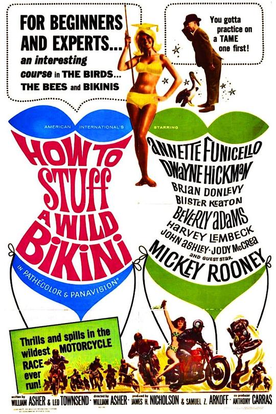 装满比基尼 How to Stuff a Wild Bikini (1965)