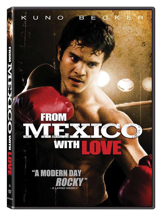 墨西哥情书 From Mexico with Love (2009)