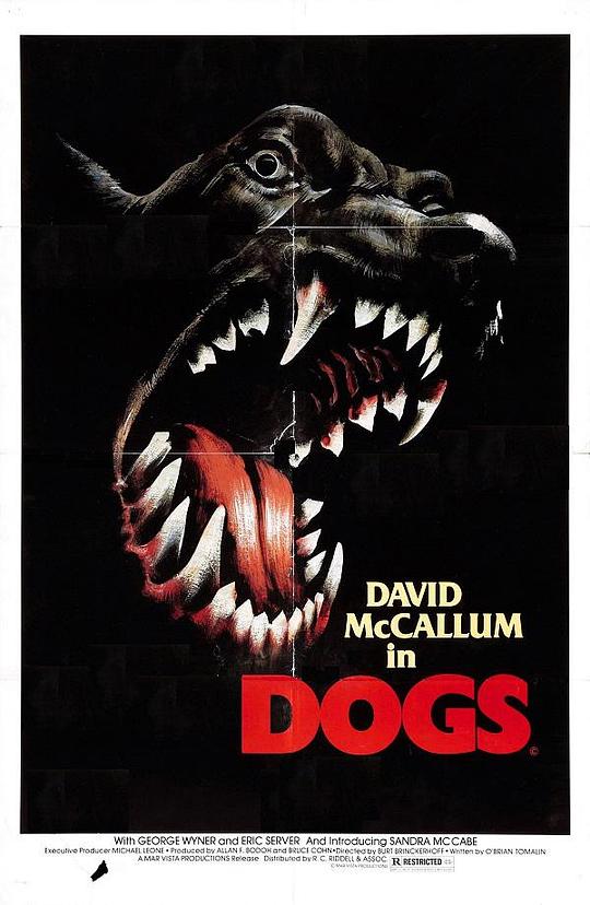 癫狗 Dogs (1976)