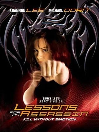 杀人教程 Lessons for an Assassin (2001)