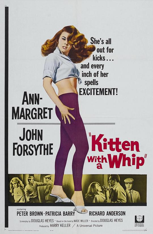 性感小野猫 Kitten with a Whip (1964)