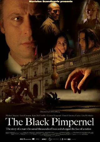 黑色繁笺花 The Black Pimpernel (2007)