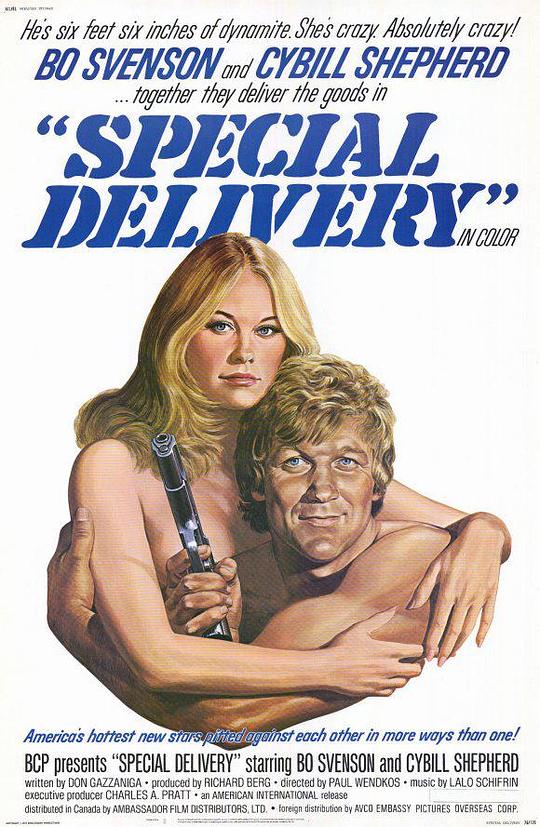 联邦银行大劫案 Special Delivery (1976)