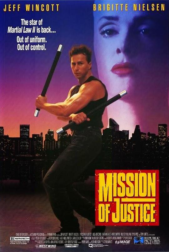 正义使者 Mission of Justice (1992)