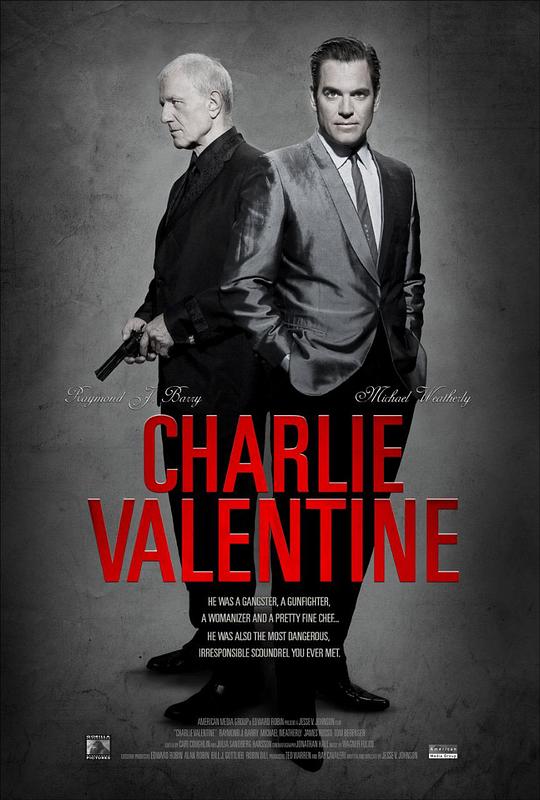 查理·瓦伦丁 Charlie Valentine (2009)