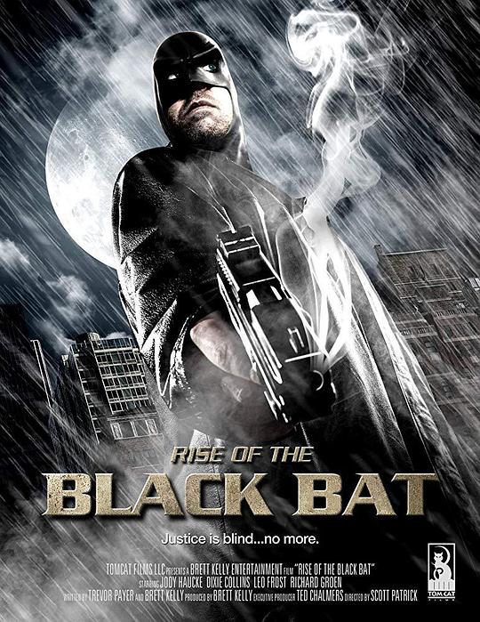 黑蝙蝠崛起 Rise of the Black Bat (2012)