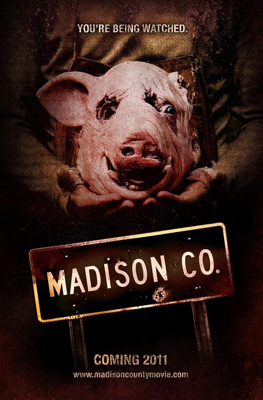 麦迪逊小镇 Madison County (2011)