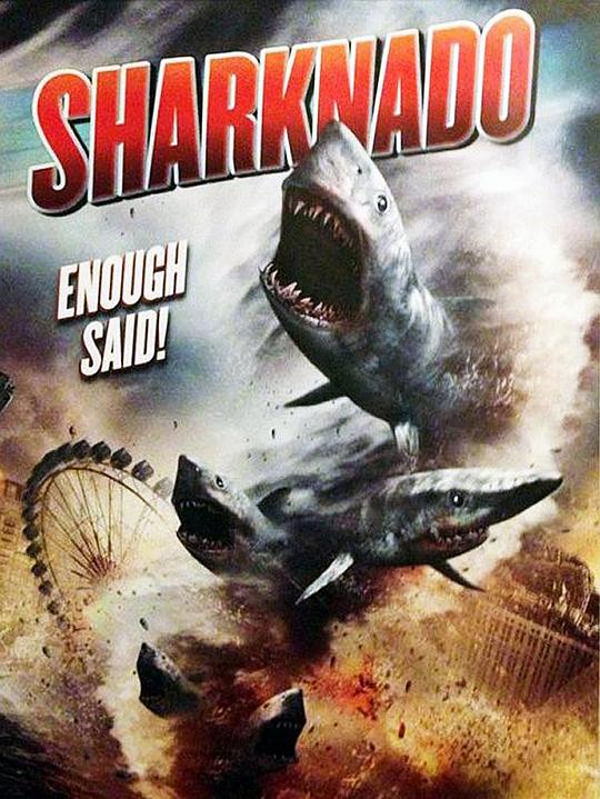 鲨卷风 Sharknado (2013)