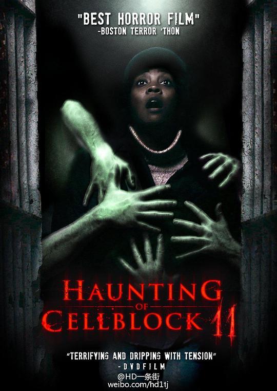 11号监狱 Haunting of Cellblock 11 (2014)