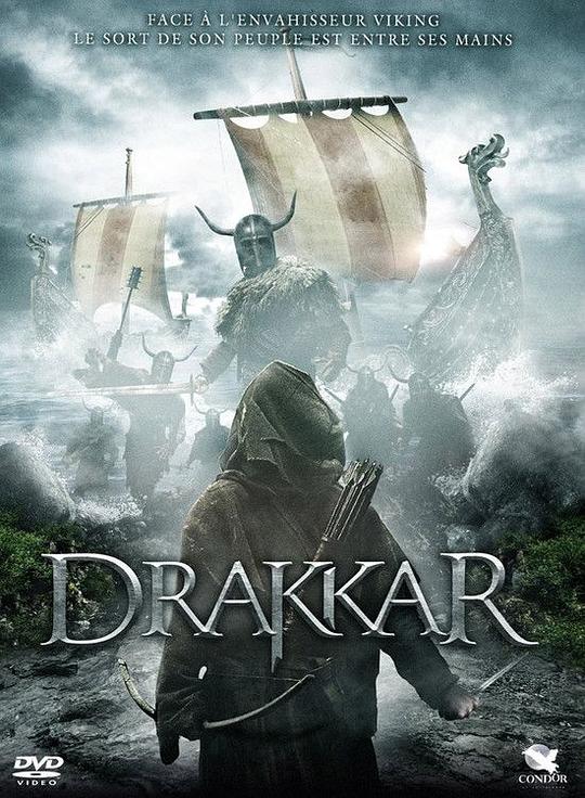 维京传奇：最黑暗的一天 A Viking Saga: The Darkest Day (2013)