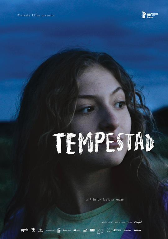 暴风雨 Tempestad (2016)