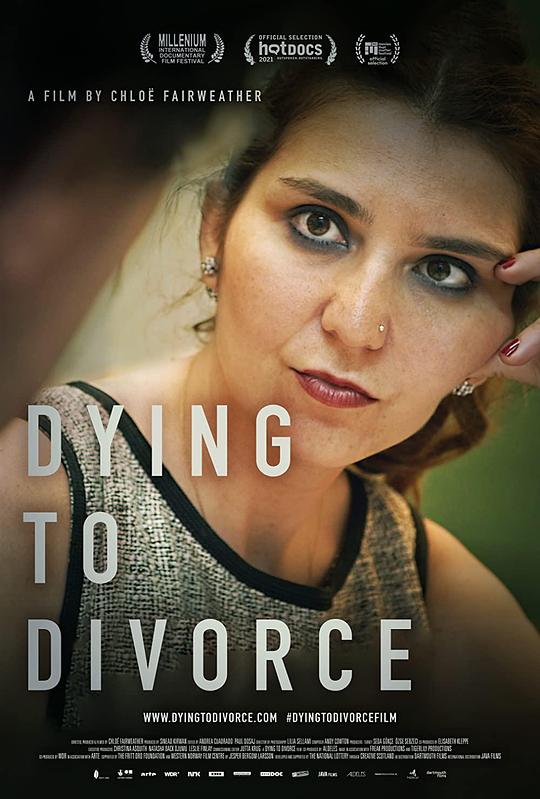 我要离婚 Dying to Divorce (2021)