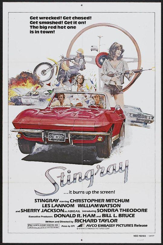 疯狂大贼婆 Stingray (1978)