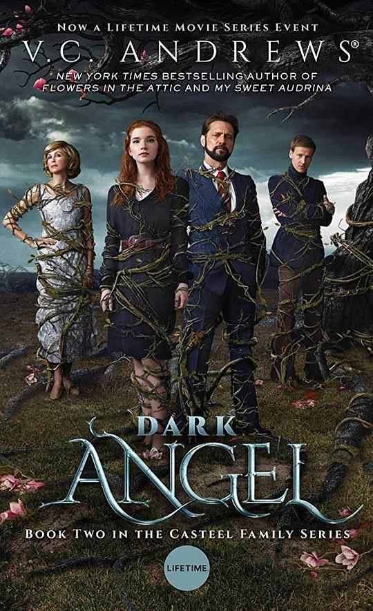 暗黑天使 Dark Angel (2019)